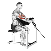 Cable Rope Hammer Preacher Curl demonstration animation
