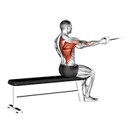 Cable Seated One Arm Alternate Row demonstration animation
