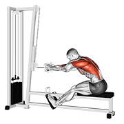 Cable Seated Row demonstration animation