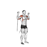 Cable Shoulder Press demonstration animation