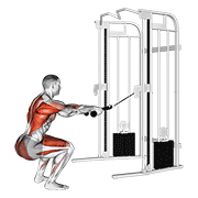 Cable Squat Row With Rope Attachment demonstration animation