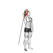 Cable Standing Reverse Grip One Arm Overhead Tricep Extension demonstration animation