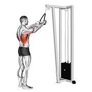 Cable Straight Arm Pulldown With Rope demonstration animation