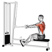 Cable Straight Back Seated Row demonstration animation