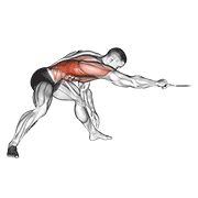 Cable Twisting Pull demonstration animation