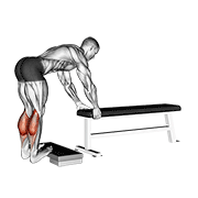 Calf Raise demonstration animation