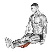 Calf Stretch demonstration animation