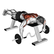 Cambered Bar Lying Row demonstration animation