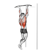 Chinup demonstration animation