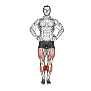 Circles Knee Stretch demonstration animation
