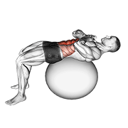 Crunch On Stability Ball demonstration animation