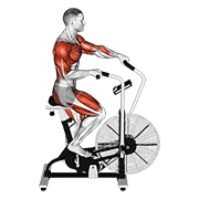 Cycle Cross Trainer demonstration animation