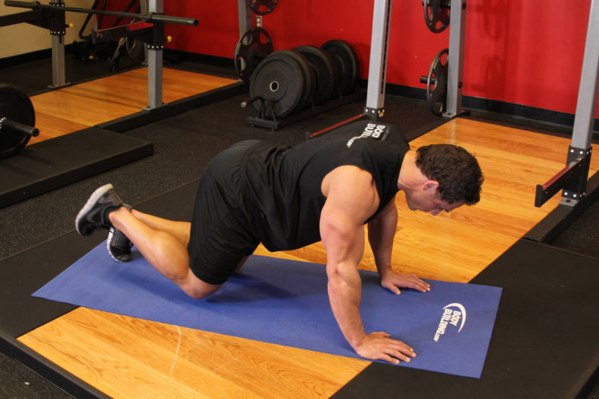 Donkey Kick — position 1