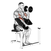 Dumbbell Alternate Hammer Preacher Curl demonstration animation