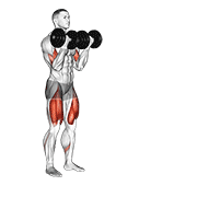 Dumbbell Bicep Curl Lunge With Bowling Motion demonstration animation