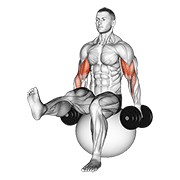 Dumbbell Bicep Curl On Exercise Ball With Leg Raised demonstration animation