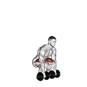 Dumbbell Deadlift demonstration animation