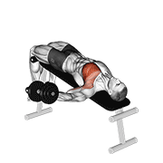 Dumbbell Decline One Arm Fly demonstration animation
