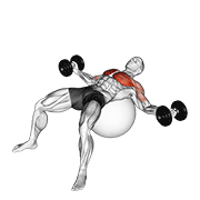 Dumbbell Fly On Exercise Ball demonstration animation