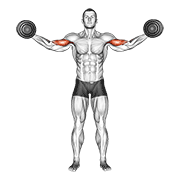 Dumbbell High Curl demonstration animation
