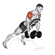 Dumbbell Incline Rear Lateral Raise demonstration animation