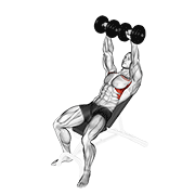 Dumbbell Incline Shoulder Raise demonstration animation
