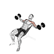 Dumbbell Incline Twisted Flyes demonstration animation