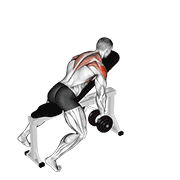 Dumbbell Incline Y Raise demonstration animation