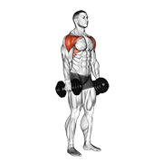 Dumbbell Lateral To Front Raise demonstration animation