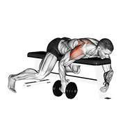 Dumbbell Lying One Arm Rear Lateral Raise demonstration animation
