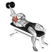 Dumbbell Lying One Arm Supinated Triceps Extension demonstration animation