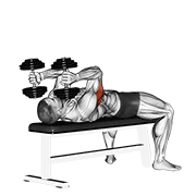 Dumbbell Lying Triceps Extension demonstration animation