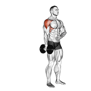 Dumbbell One Arm Lateral Raise demonstration animation