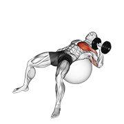Dumbbell One Arm Press On Exercise Ball demonstration animation