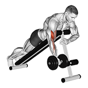 Dumbbell One Arm Prone Curl demonstration animation
