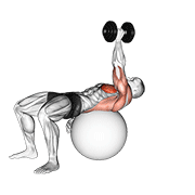 Dumbbell One Arm Pullover On Exercise Ball demonstration animation