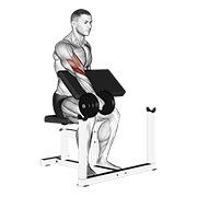 Dumbbell One Arm Reverse Preacher Curl demonstration animation