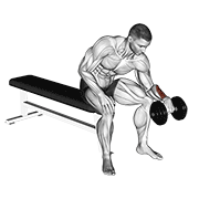 Dumbbell One Arm Reverse Wrist Curl demonstration animation