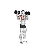 Dumbbell One Arm Shoulder Press demonstration animation