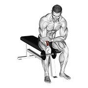Dumbbell One Arm Wrist Curl demonstration animation