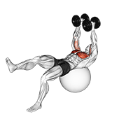 Dumbbell One Leg Fly On Exercise Ball demonstration animation