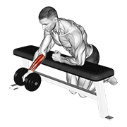 Dumbbell Over Bench One Arm Reverse Wrist Curl demonstration animation