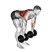 Dumbbell Palm Rotational Bent Over Row demonstration animation