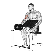 Dumbbell Preacher Curl demonstration animation