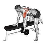 Dumbbell Rear Delt Row Shoulder demonstration animation