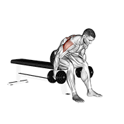 Dumbbell Rear Fly demonstration animation