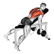 Dumbbell Reverse Grip Incline Bench Two Arm Row demonstration animation