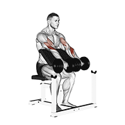 Dumbbell Reverse Preacher Curl demonstration animation