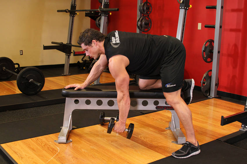 Dumbbell Row — position 1