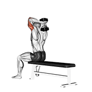 Dumbbell Seated Bench Extension demonstration animation